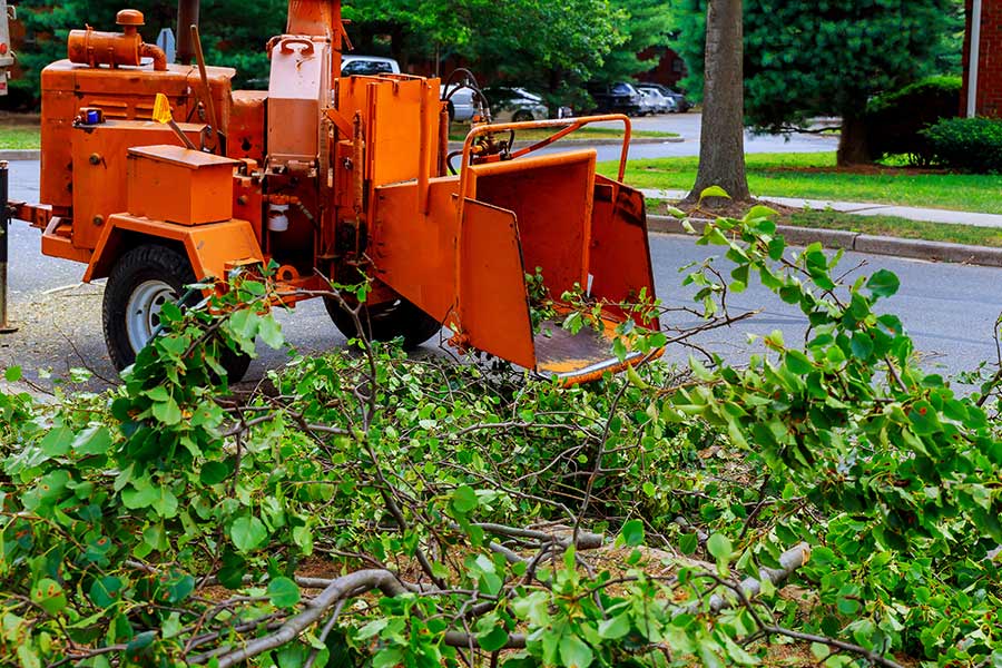 wood chipper and tree branches milton fl