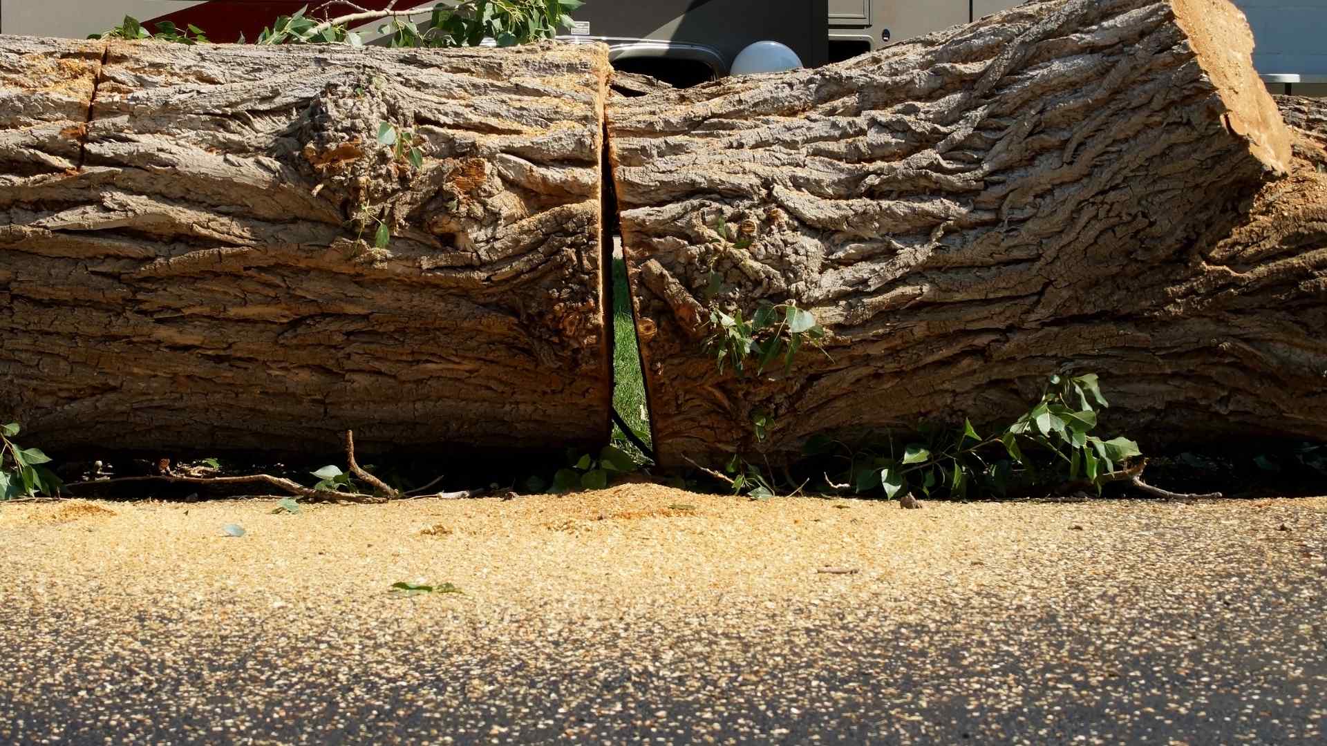 xr:d:DAFXMDVzINI:508,j:2554094436,t:23012521