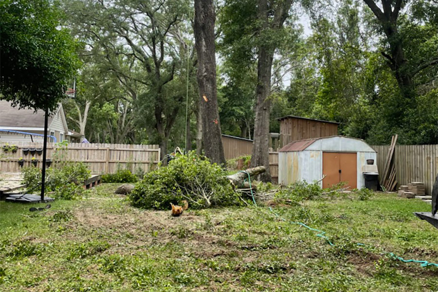 mountain of tree brushes milton fl